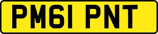 PM61PNT