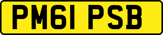 PM61PSB