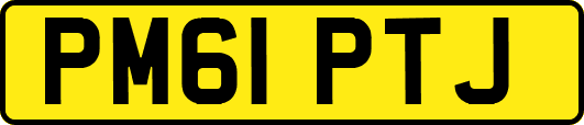 PM61PTJ