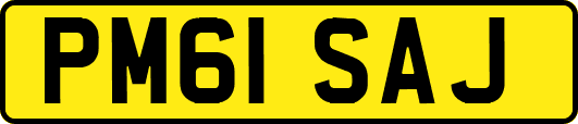 PM61SAJ