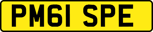PM61SPE