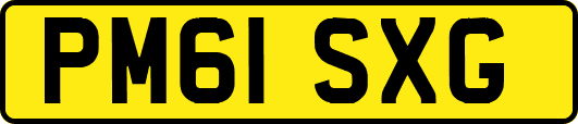 PM61SXG