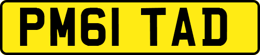 PM61TAD