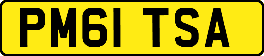 PM61TSA