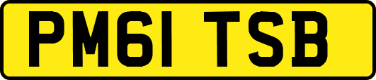 PM61TSB