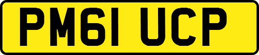 PM61UCP