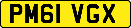 PM61VGX