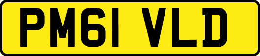PM61VLD