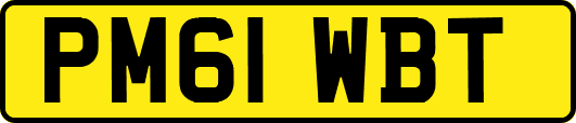 PM61WBT