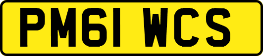 PM61WCS