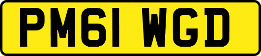 PM61WGD