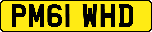 PM61WHD