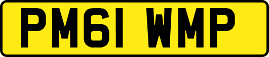 PM61WMP