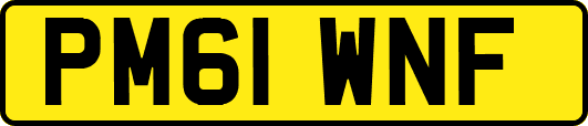 PM61WNF