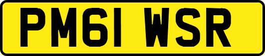 PM61WSR