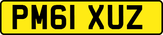 PM61XUZ