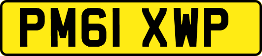 PM61XWP