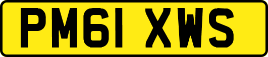 PM61XWS