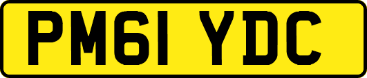 PM61YDC