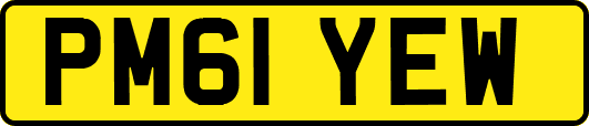 PM61YEW