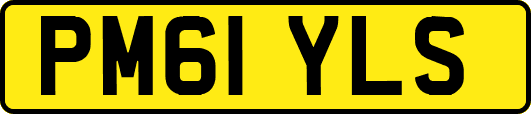PM61YLS