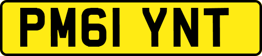 PM61YNT