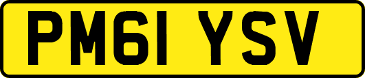 PM61YSV
