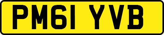 PM61YVB