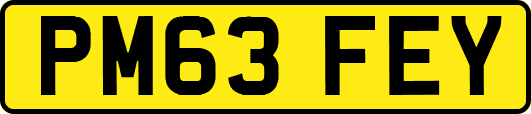 PM63FEY