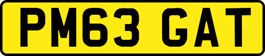 PM63GAT