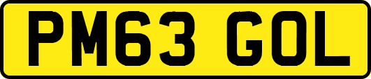 PM63GOL
