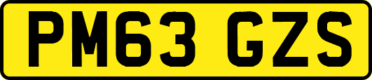 PM63GZS