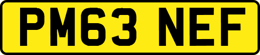 PM63NEF