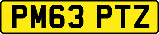 PM63PTZ