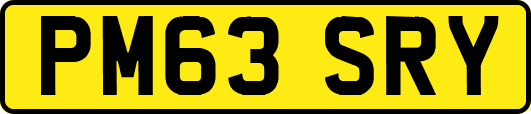PM63SRY