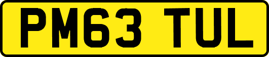 PM63TUL
