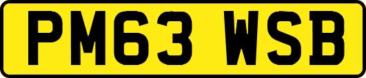 PM63WSB