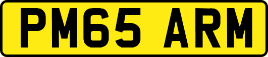 PM65ARM