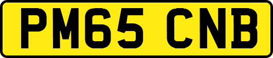 PM65CNB