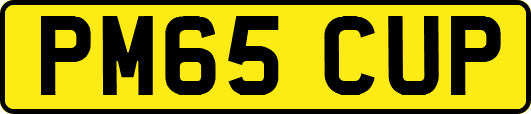 PM65CUP