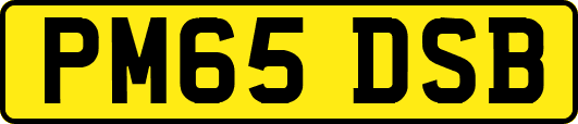 PM65DSB