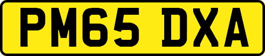 PM65DXA