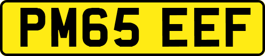PM65EEF
