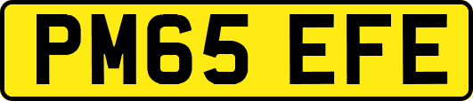 PM65EFE