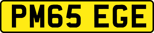 PM65EGE