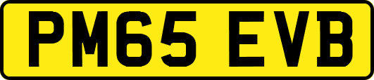 PM65EVB