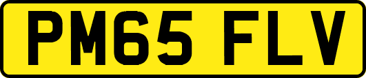 PM65FLV