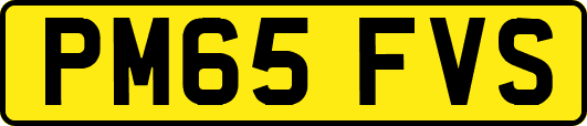 PM65FVS