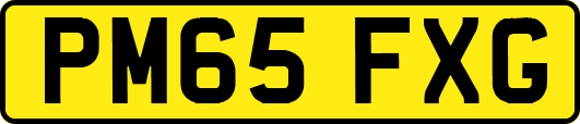 PM65FXG