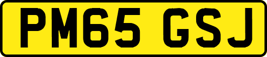 PM65GSJ